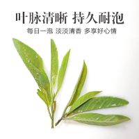 [新茶]苦丁茶大叶苦丁茶特级毛冬青野生青山绿水蒲公英组合送杯 大叶苦丁[ 30克试饮装 ]