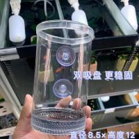 孔雀鱼悬浮漂浮繁殖罐繁殖孵化盒隔离罐产房大套小 鱼苗缸专用吸盘繁殖罐1个