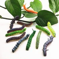 仿真毛毛虫愚人节整蛊恶搞吓人道具玩具昆虫微景观造景蚕青虫模型 毛毛虫随机3只不重复