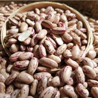 奶花豆新货贵州遵义花生豆雀蛋豆农家新豆花饭豆奶花芸豆五谷杂粮 奶花豆250克