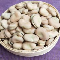 云南新鲜农家蚕豆散装干货种子籽罗汉豆胡豆馋豆白皮生蚕豆可发芽 1斤试吃装（不推荐）