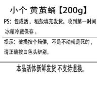 东北特产柞蚕蛹新鲜活蚕蛹鲜活野生大黄蚕蛹活体西丰茧蛹 小个黄茧蛹200g(25-30)