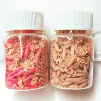 蛆虫活体野钓肉蛆活虫鲫鲤草鱼活白蛆牙子垂钓鱼饵钓白虫活蛆 红色 10个小夹子8.5