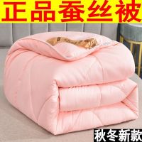 蚕丝被子春秋被空调被芯加厚保暖冬被学生宿舍上下铺单人双人被子 新款玉色 120*150午休被