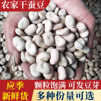 新货山西干蚕豆干货五谷杂粮生蚕豆罗汉豆胡豆白皮蚕豆3斤5斤 不加工只搬运（干蚕豆3斤装）