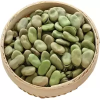 2020年新鲜农家自种生蚕豆胡豆罗汉豆晒干青蚕豆种子 蚕豆1斤