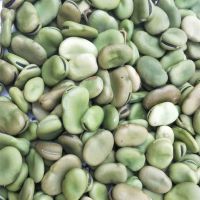 干蚕豆2021年新货 农家新鲜干货生的蚕豆粒散装3-5斤装 三斤大果干蚕豆