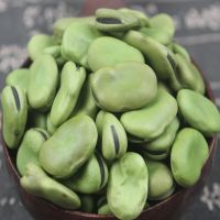 新干生蚕豆 5斤 半斤罗汉豆农家自种青胡豆可发芽青蚕豆种子 干蚕豆1斤