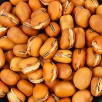 干胡豆小蚕豆批发5斤农家兰花豆原味香酥干炒蚕豆原味炒货1斤豆子 1斤 原味