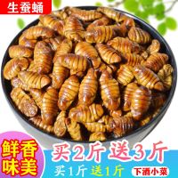 [买2斤送3斤]山东桑蚕蛹新鲜蝉蛹活体速冻茧蛹子特产蚕蛹100g 100g试吃装[量少不建议] 普通纸箱[保鲜效果一般哦