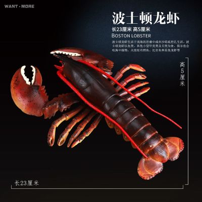 仿真动物大龙虾模型 大号澳洲龙虾波士顿大龙虾海洋生物儿童玩具 红色波士顿龙虾/长23CM.