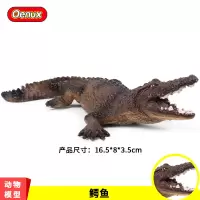 仿真大鳄鱼实心模型儿童玩具 远古帝鳄 凯门鳄 尼罗 扬子鳄模型 鳄鱼