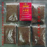 清道夫活体除藻工具鱼贵州爬岩鳅冷水双吸盘琵琶鳅小提琴鱼清洁工 高蛋白饲料90克