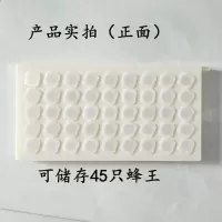 蜜蜂储王器新款塑料多功能蜂王存储器育王神器王笼储王盒养蜂工具 老款塑料储王器 1个