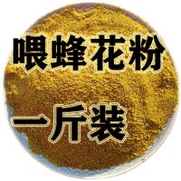 喂蜂花粉天然油菜杂粉蜜蜂饲料养蜂油菜花粉中蜂蜂粮专用 一斤装