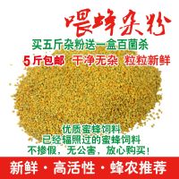 蜂具蜜蜂饲料花粉蜂用喂蜂花粉油菜荞麦杂粉养蜂工具优质蜂粮 喂蜂杂粉500g