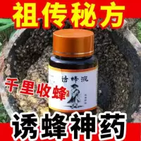 寻蜂液招蜂水诱蜂水引蜂水诱蜂蜡蜂王蜜蜂信息素野外抓蜂找蜂水 特效诱蜂液120g[发1瓶]