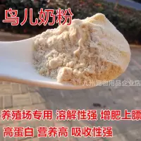 鹦鹉奶粉雏鸟乳料虎皮牡丹小太阳玄凤和尚通用奶粉手养育雏鸟饲料 鸟儿奶粉100克(送勺子)