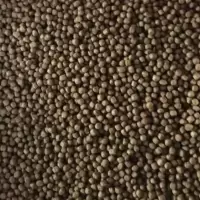 黑鱼鱼苗饲料高蛋白饲料乌鱼七星鱼加州鲈专用颗粒浮料饲料 黑鱼七星鱼专用饲料100g