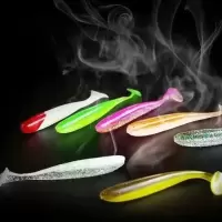路亚软饵T尾鱼铅头钩假饵套装鳜鱼鲶鱼鲈鱼翘嘴黑鱼软虫假鱼饵 10条[5.5厘米T尾软饵]颜色随机