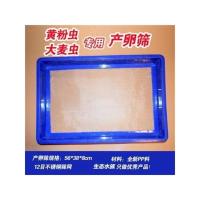 黄粉虫产卵筛面包虫养殖盒产卵筛网大麦虫产卵筛种虫繁殖套装 接卵盒1个