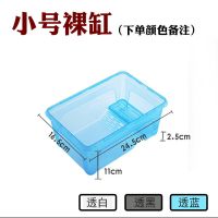 乌龟缸自带晒台造景水龟半水龟饲养盒爬宠活体透明塑料水陆缸 透白小号缸