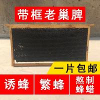 诱蜂老巢脾蜂蜡老蜂脾中蜂意蜂诱蜂蜡老蜂巢中蜂蜡招蜂专用诱蜂水