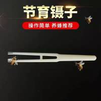 蜂王产卵节制套节育器塑料节育镊子全新送夹子镊子养蜂工具 单独镊子 1把