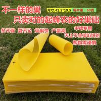 巢础中蜂蜜蜂巢础片深房中峰蜂巢脾标准中锋巢础养蜂专用工具30片 中蜂巢础30片一盒