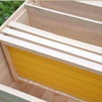 中蜂蜜蜂巢础成品带框巢础蜂础蜂蜡杉木蜜蜂箱养蜂工具10个装 中蜂蜜蜂巢础成品带框