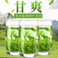 绿茶[买一斤送一斤]2021新茶日照充足高山云雾绿茶炒青绿茶茶叶 特级绿茶半斤250g(无赠品)