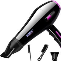 发廊吹风机家用大功率蓝光男女神理发店电吹风冷热风学生宿舍风筒 家用飓风版买一送三 紫龙龙战士