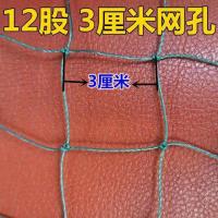 渔网网片水产养殖网聚乙烯抬网拉网防鸟网养鸡网果园防鸟天网网片 12股3厘米网孔 1米宽10米长