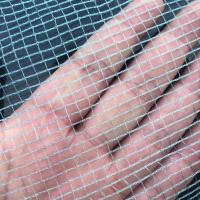 5目方格网水产养殖防逃网龙虾网养鱼网聚乙烯经编网布网片网箱网 5目0.7米宽*10米长