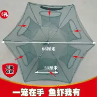 虾笼渔网鱼网伞形笼子捕鱼笼自动折叠捉鱼笼泥鳅渔具6孔8孔笼 6孔伞笼送2包饵料