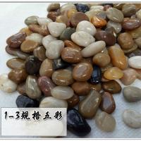 雨花石原石天然五彩石鹅卵石鱼缸造景水培盆栽装饰花盆小石子白石 精抛五彩1-3厘米 1斤[500克]