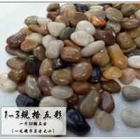 鹅卵石天然雨花石鱼缸盆景装饰品盆栽摆件五彩小石头园艺原石铺路 高抛五彩1-3厘米【1元硬币左右】 1斤