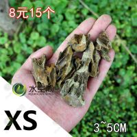 松皮石 龙骨石 盆景石材 微景观石 水草缸 水陆缸 XS（3-5CM）15块