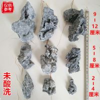 青龙石小块酸洗精选微观草缸造景石自然苔藓缸迷你型摆件小假山石 未酸洗小块青龙石 2-4厘米 10个 (形状随机)