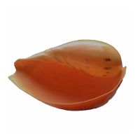 超大天然海螺壳 椰子螺 鱼缸造景装饰三湖鱼虎鱼虾躲避屋创意花盆 单个海螺8-10cm