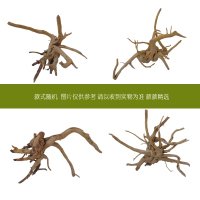 鱼缸装饰天然沉木树根造景木头莫斯树流木水草杜鹃根树枝根雕栖根 25-35cm款式随机发货