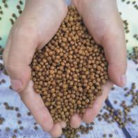 通威漂浮鱼饲料淡水养殖公园家养 锦鲤 草鱼 鲫鱼 鲤鱼等鱼用饲料 通威3毫米浮水鱼料3斤