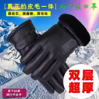 冬季男士真皮手套超厚羊毛加厚皮毛一体保暖防风摩托车骑行手套男 均码正常一般大小一般都可以戴