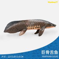 玩模乐仿真史前生物儿童玩具远古海洋动物模型宾海蝎奇虾男孩礼物 巨骨舌鱼.