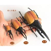 大号仿真甲虫模型角仙锹形虫长戟战神大兜虫儿童认知早教具玩具 大号鹿角虫