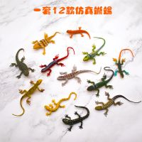 仿真蜥蜴玩具模型野生爬行动物大号壁虎软胶模型变色龙12款组合装 仿真蜥蜴随机2款