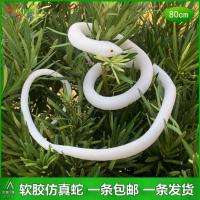 白色软胶蛇儿童玩具仿真蛇大小白蛇新白娘子传白素贞道具吓人假蛇 小白蛇（80cm）