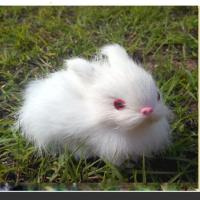 仿真小兔子毛绒玩具小白兔公仔玩偶儿童女友礼物客厅书桌车内摆件 迷你款小兔子（单只）