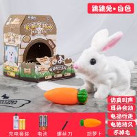 小白兔毛绒玩具仿真电动玩偶狗动物男宝宝会走的兔子女孩儿童礼物 彩色小屋-小白兔-中号 官方标配+2节5号电池+螺丝刀