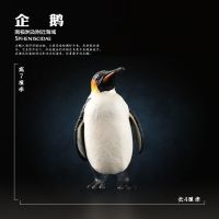 正版玩具仿真动物模型海洋生物鲨鱼鲸鱼海豚企鹅海龟螃蟹摆件儿童 6023企鹅